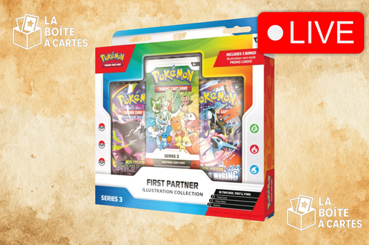 First Partner Illustration Collection Series 3 - Pokemon