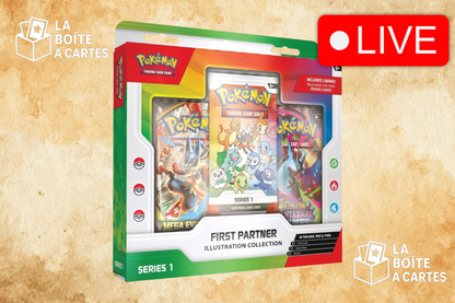 First Partner Illustration Collection - Pokemon