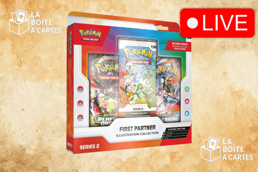 First Partner Illustration Collection serie 2 - Pokemon